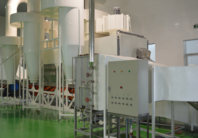 Dessicated Coconut powder processing plant