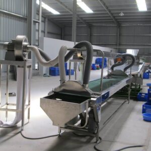 Cashew kernel dicing machine
