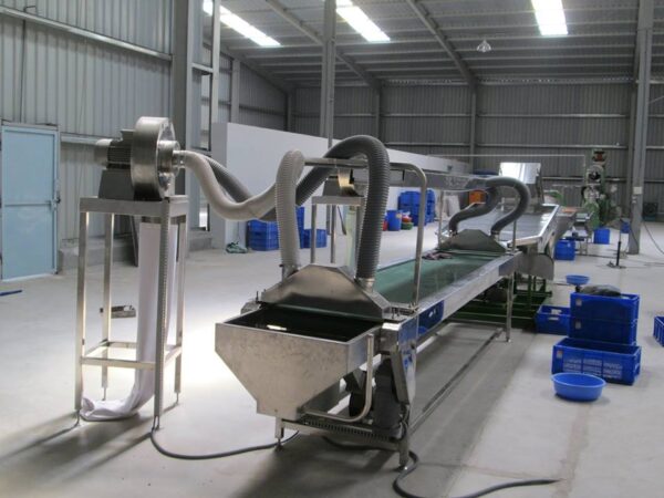Cashew kernel dicing machine
