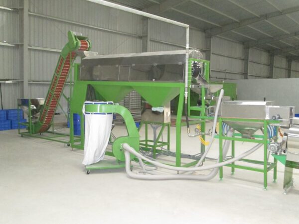 Automatic cashew peeling machine