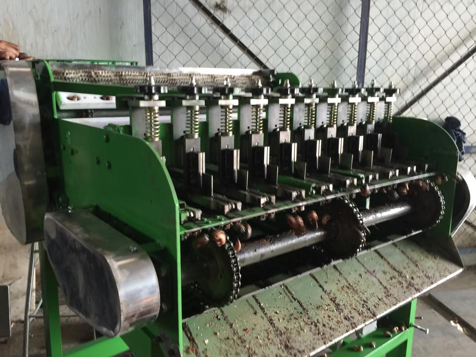 cashew-shelling-machine-1o-head