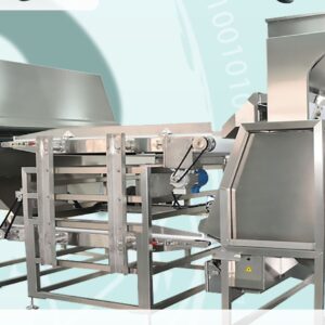 Cashew kernel color sorting machine