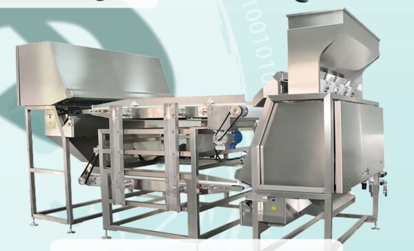 Cashew kernel color sorting machine