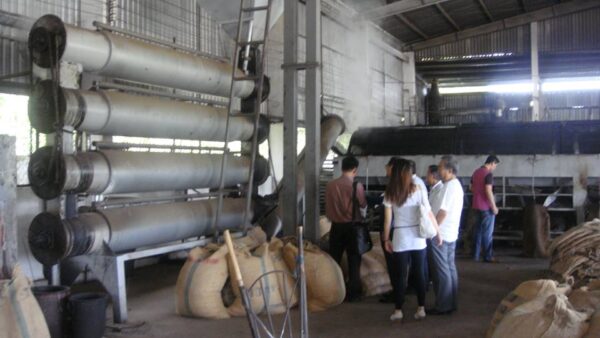 Continuos raw cashew steaming machinery