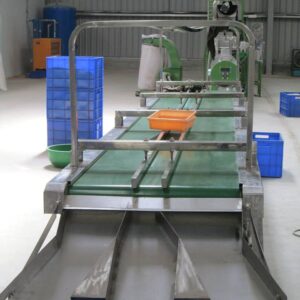Cashew working conveyor belt