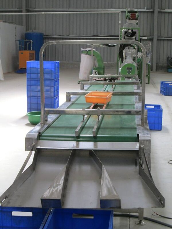 Cashew working conveyor belt