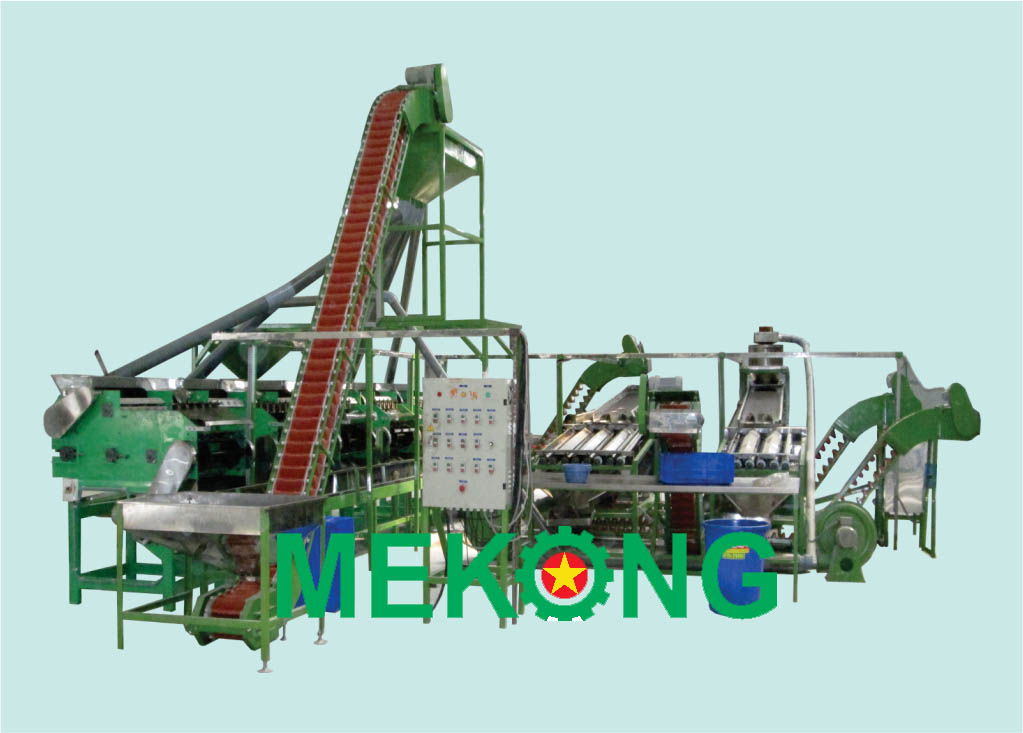 Automatic Cashew Shelling Line