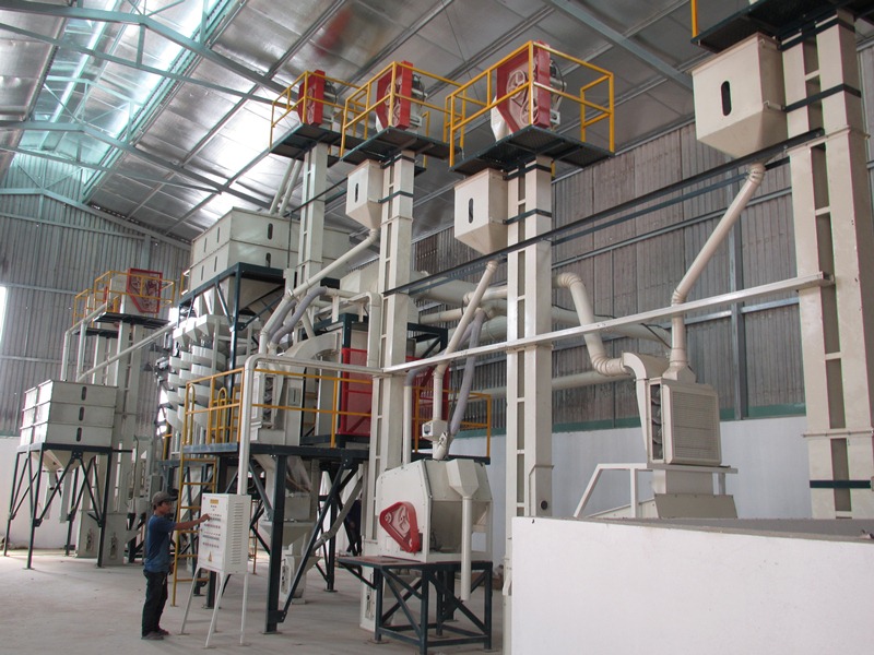 Black pepper processing technology