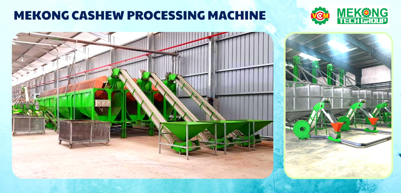 Cashew processing machine