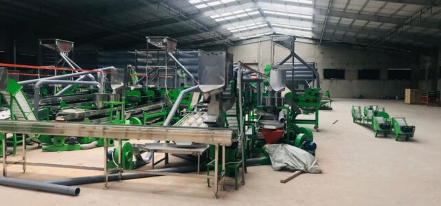 automatic cashew processing plant