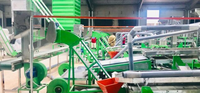 automatic cashew shelling line