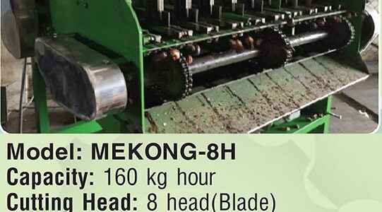 Automatic cashew shelling machine MEKONG-8H