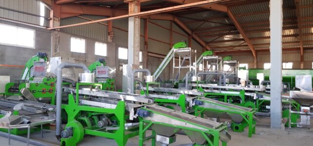 Kernel-cashew-grading-machine-MK-2022