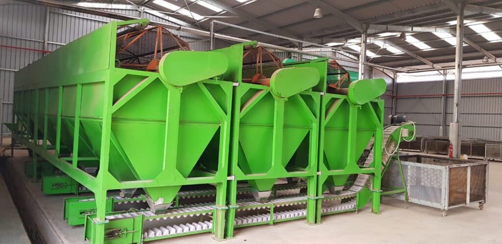 Raw cashew nut size sorting machine Cashew machine Cashew machine