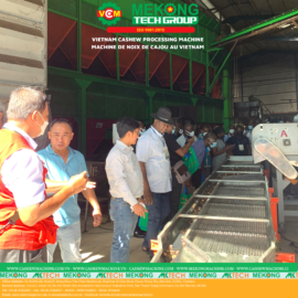 automatic cashew processing plant