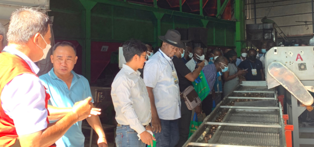 automatic cashew processing plant